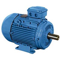 energy-efficient-electric-motor-audit-by-lean-solutions